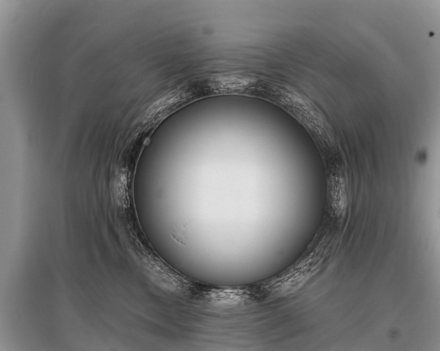 X0000096140378200801251047