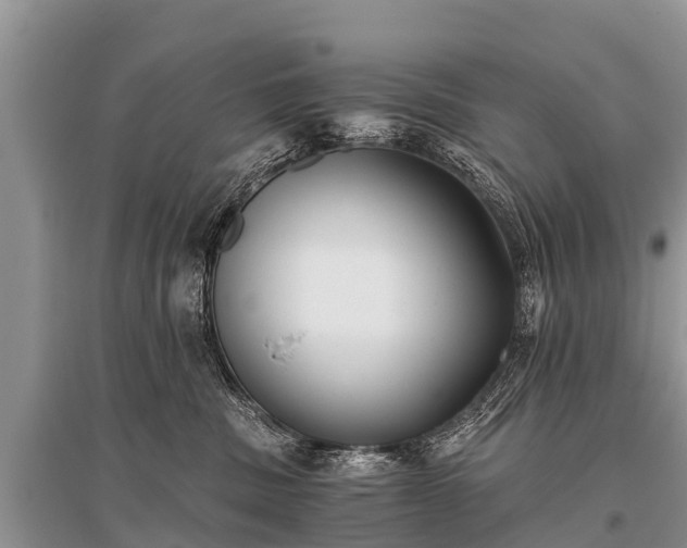 X0000096140379200801251047