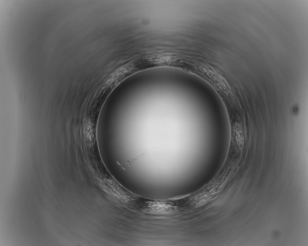 X0000096140380200801251047