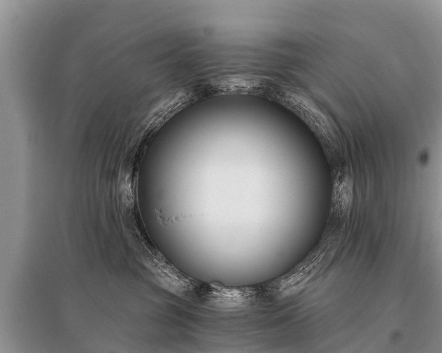 X0000096140381200801251047