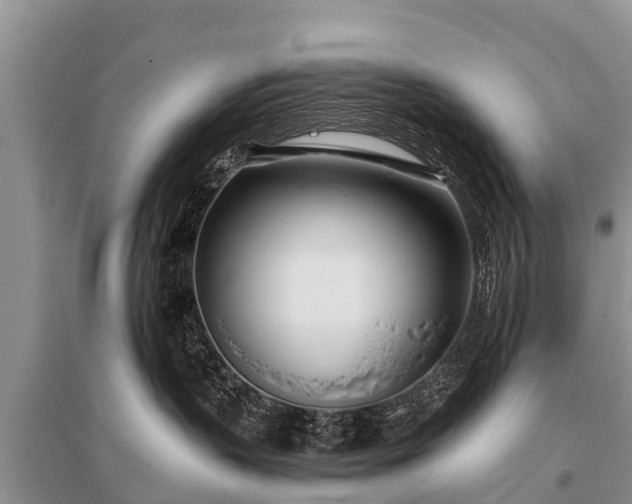 X0000096140383200801251047