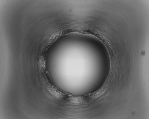 X0000096140384200801251047