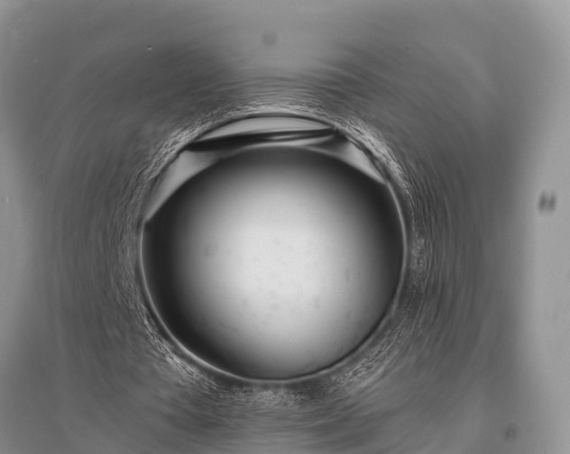 X0000096140385200801251046