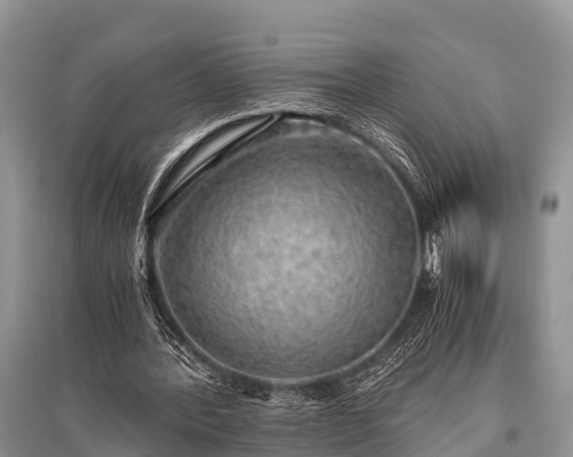 X0000096140388200801251046