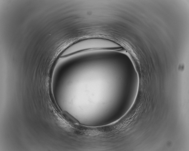 X0000096140389200801251046