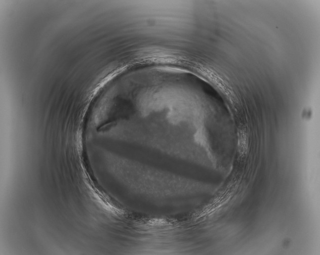X0000096140390200801251046
