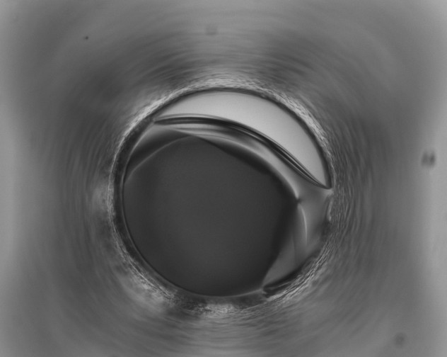X0000096140391200801251046