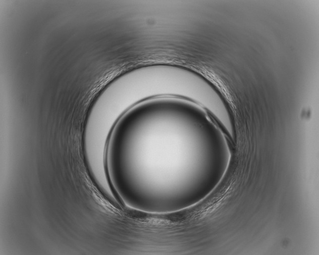 X0000096140393200801251046