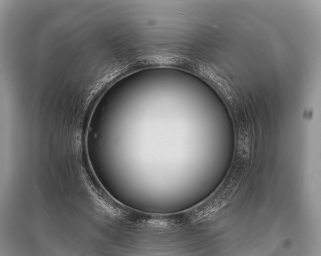 X0000096140394200801251046