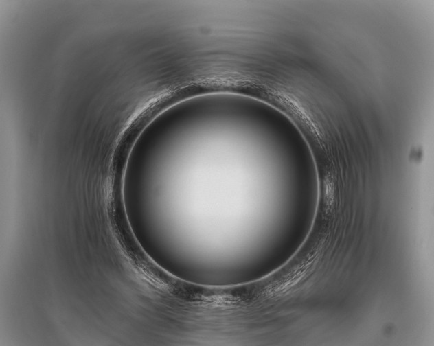 X0000096140396200801251046