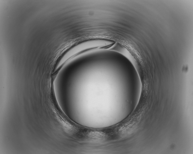 X0000096140397200801251046