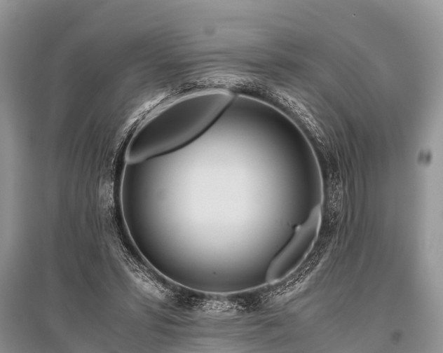X0000096140399200801251046