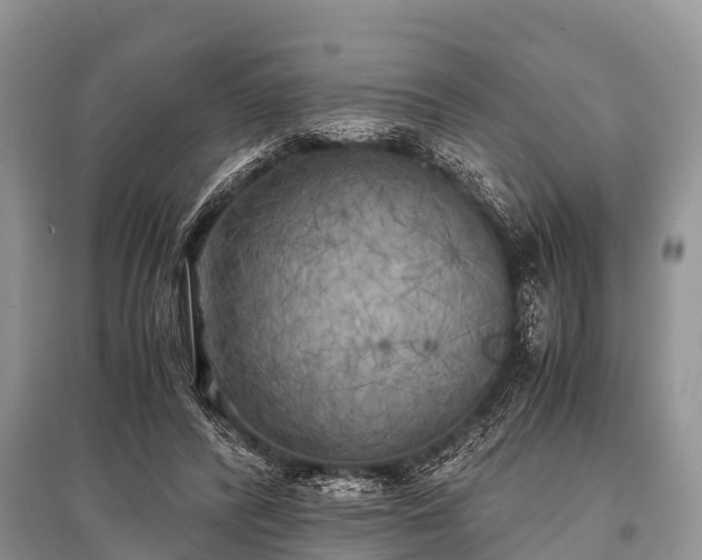 X0000096140400200801251046
