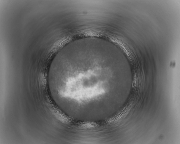 X0000096140402200801251046