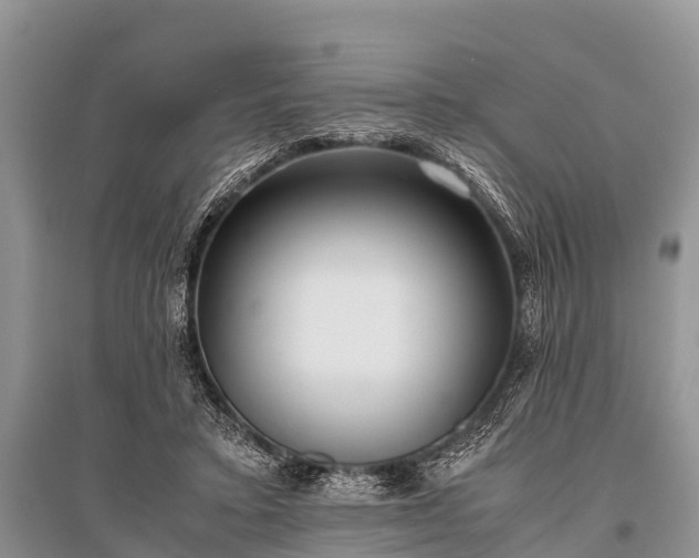 X0000096140403200801251046