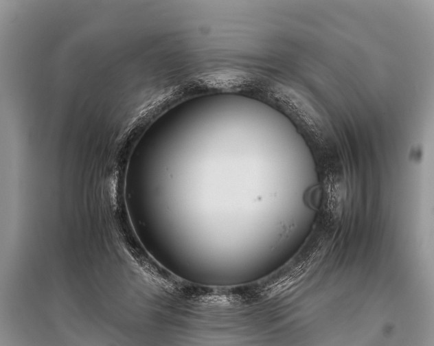 X0000096140404200801251046