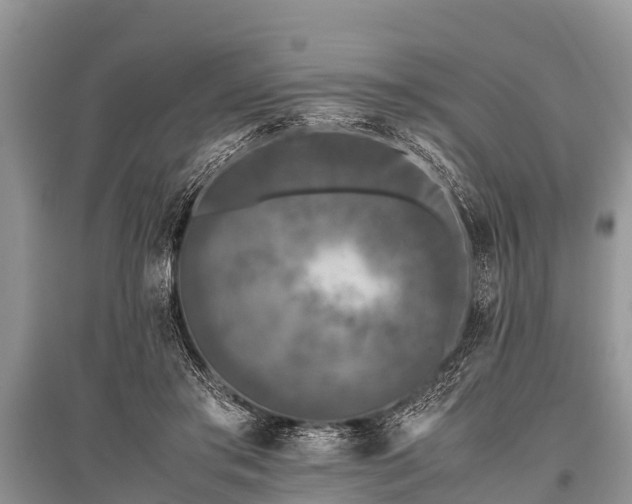 X0000096140405200801251046