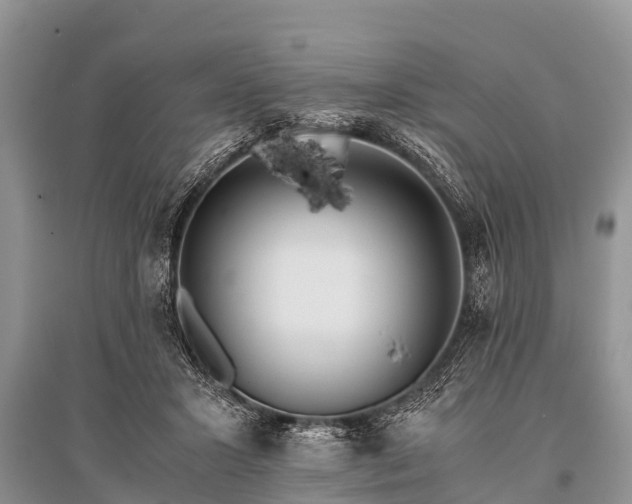 X0000096140407200801251046