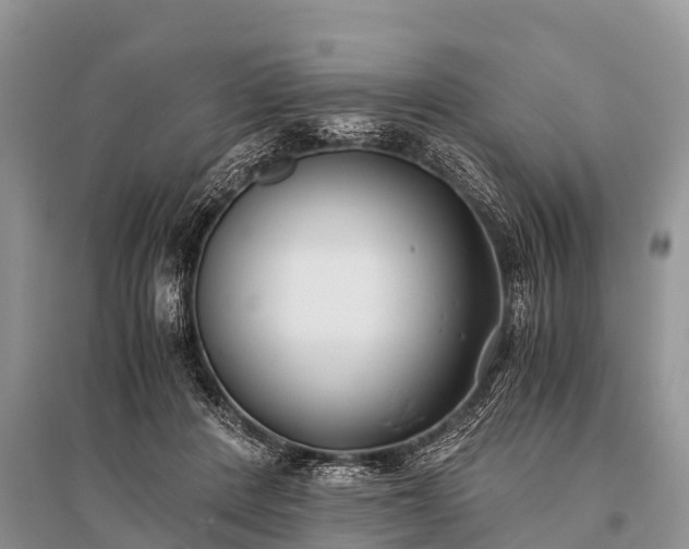 X0000096140408200801251046