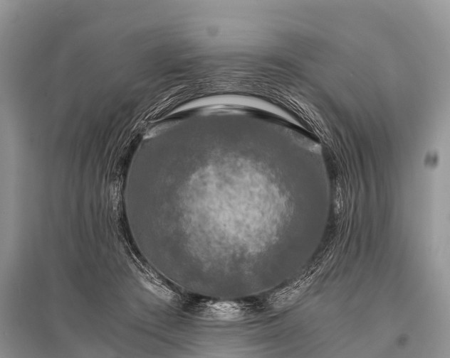 X0000096140409200801251046