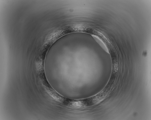 X0000096140411200801251046