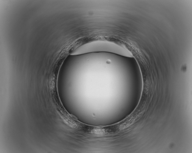 X0000096140413200801251046