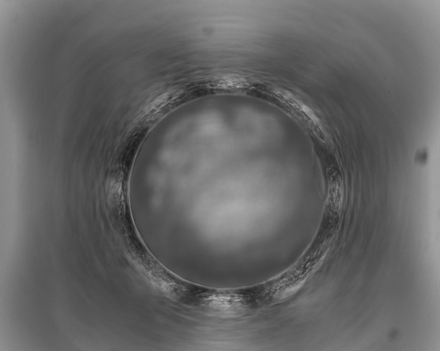 X0000096140415200801251046