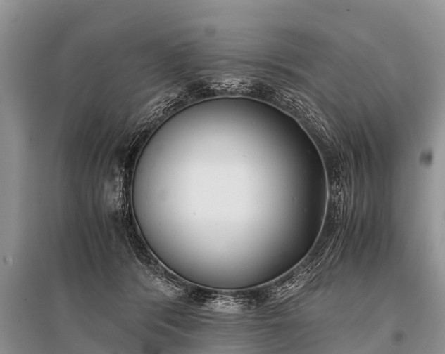 X0000096140416200801251046