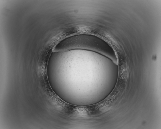 X0000096140417200801251046