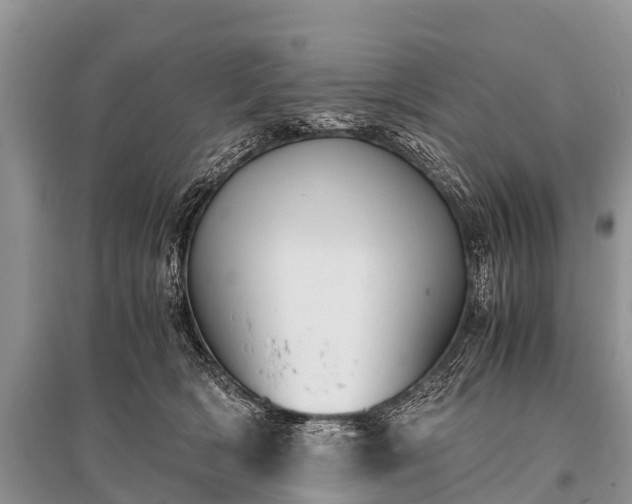 X0000096140418200801251046