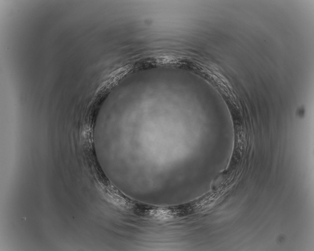 X0000096140419200801251046