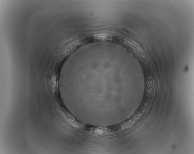 X0000096140420200801251046