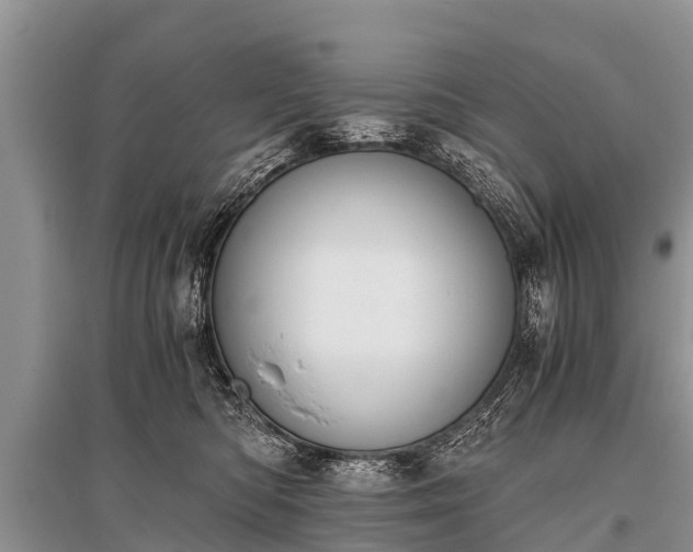X0000096140422200801251046