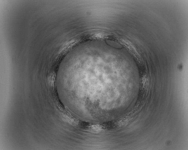 X0000096140423200801251046