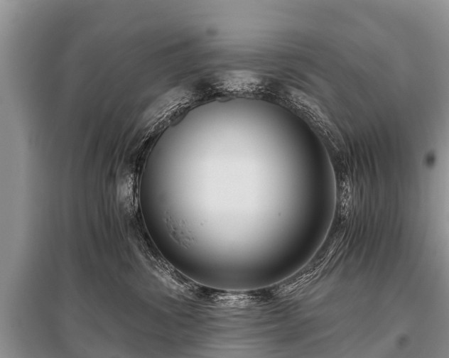 X0000096140428200801251046