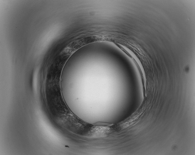 X0000096140429200801251046