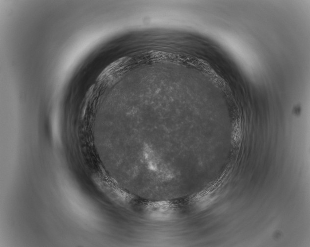 X0000096140431200801251046