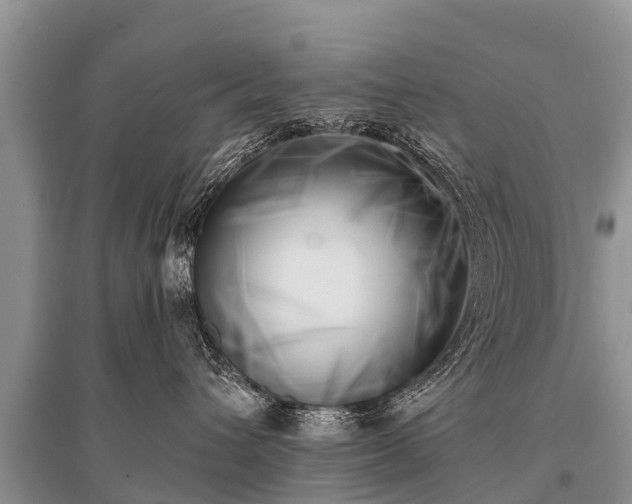 X0000096140432200801251046