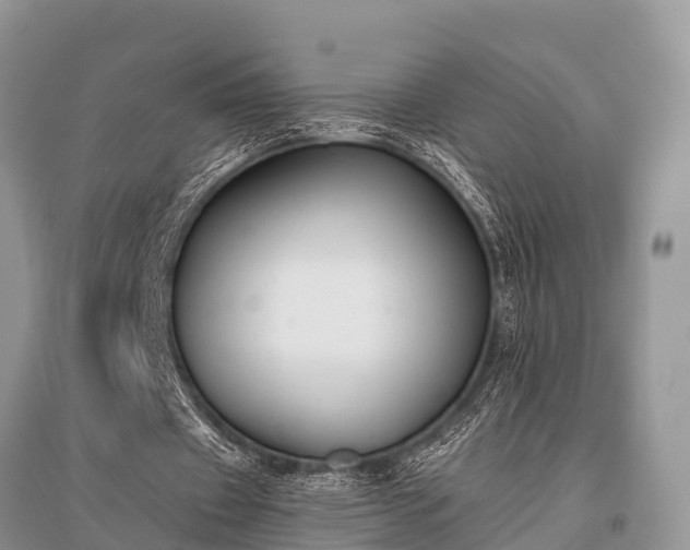 X0000096140433200801251045