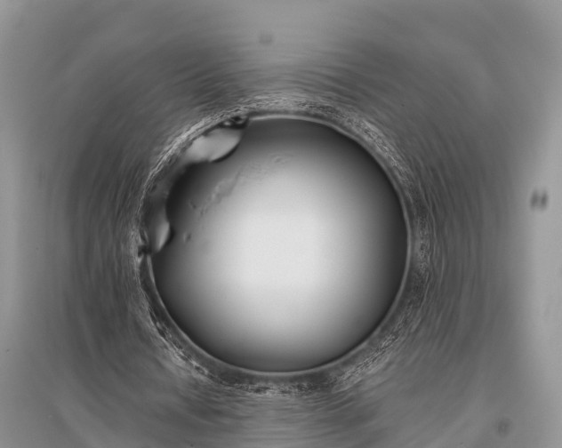 X0000096140434200801251045
