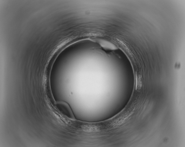 X0000096140435200801251045