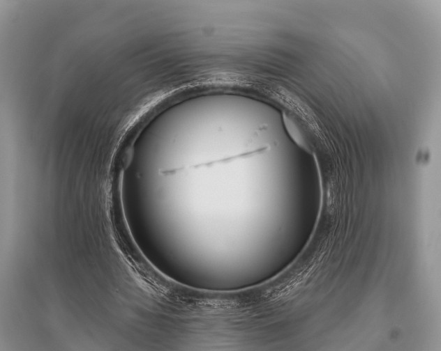 X0000096140436200801251045