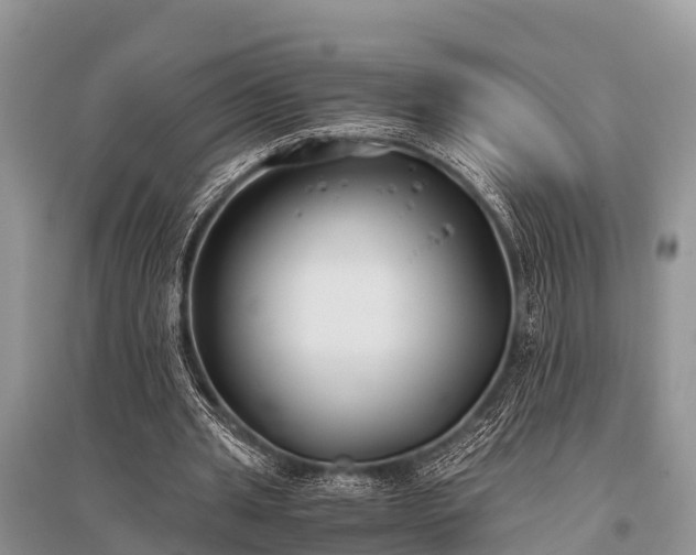 X0000096140437200801251045