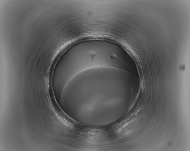 X0000096140438200801251045