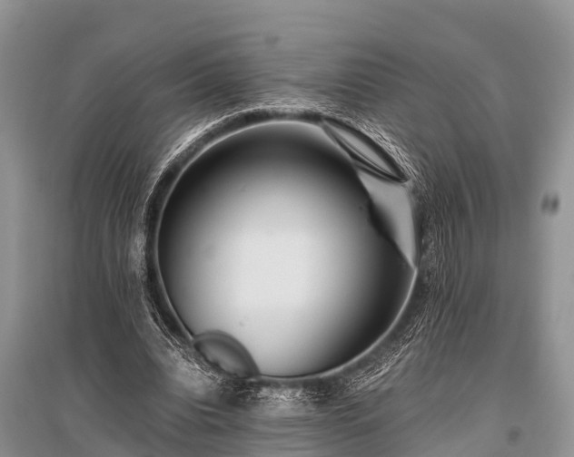 X0000096140440200801251045