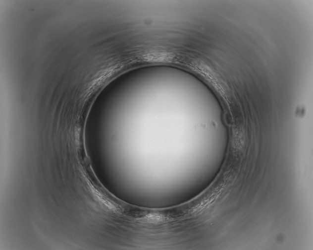X0000096140441200801251045
