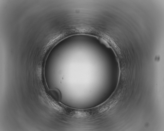 X0000096140442200801251045