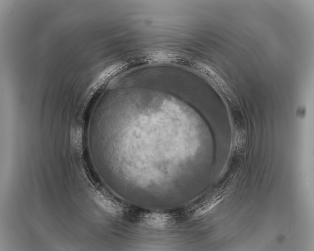 X0000096140444200801251045