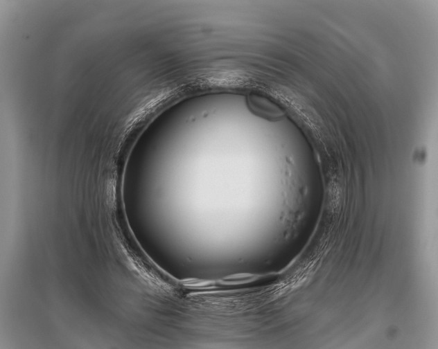 X0000096140446200801251045