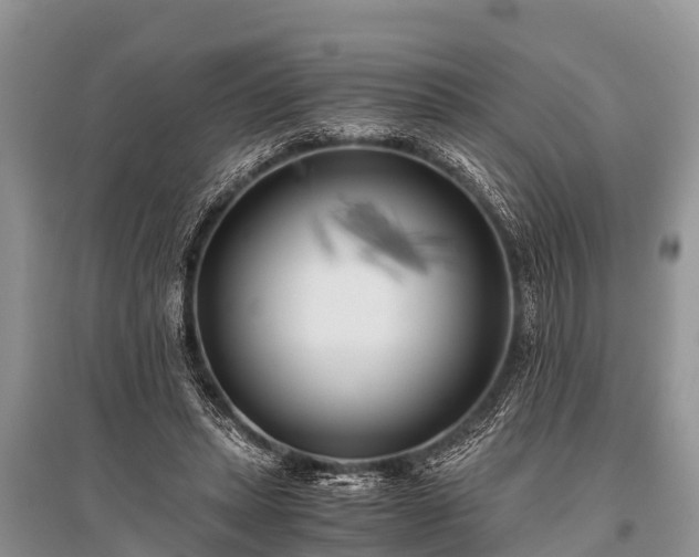 X0000096140447200801251045